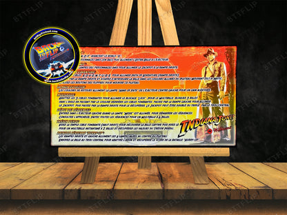 Williams Indiana Jones 1993  Jeu Cartes règles Instructions Flipper Custom Apron V2