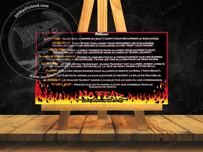 Williams No Fear Dangerous Sports 1995 custom apron instruction cards (set of 2)