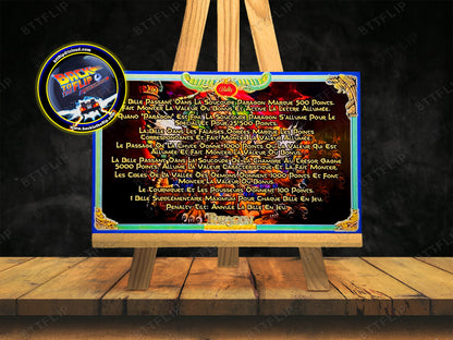 Bally Paragon 1979 Juego Cartas reglas Instrucciones Pinball Delantal personalizado