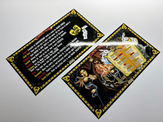 Cartes d'instructions custom apron flipper Bally Theatre Of Magic 1995 (set de 2)