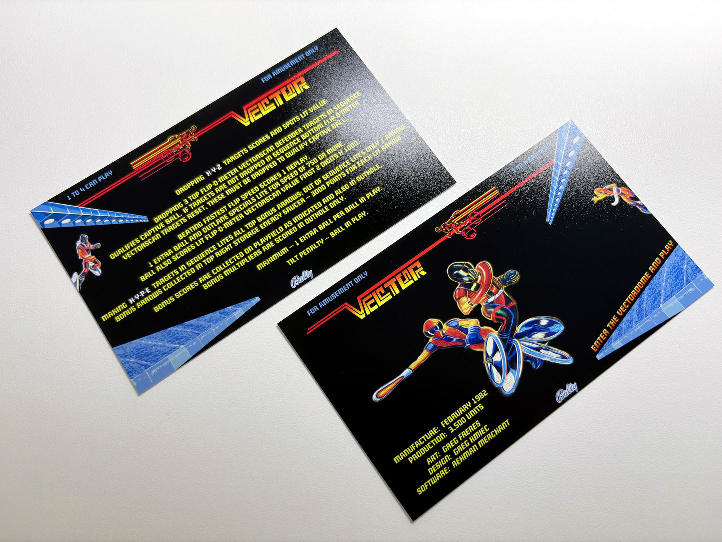 Instruction cards custom apron flipper Bally Vector 1982 (set of 2)