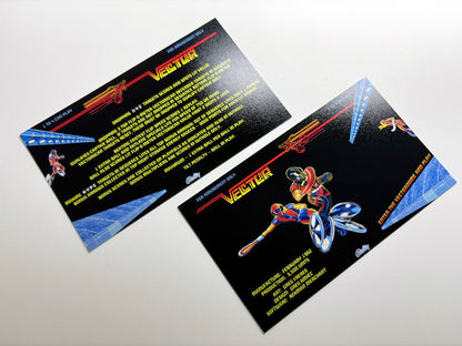 Instruction cards custom apron flipper Bally Vector 1982 (set of 2)