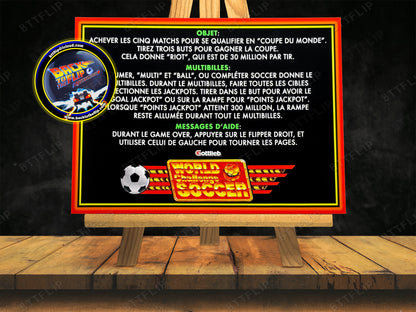 Tarjetas de juego Gottlieb World Challenge Soccer 1994, reglas e instrucciones, delantal personalizado de pinball V1